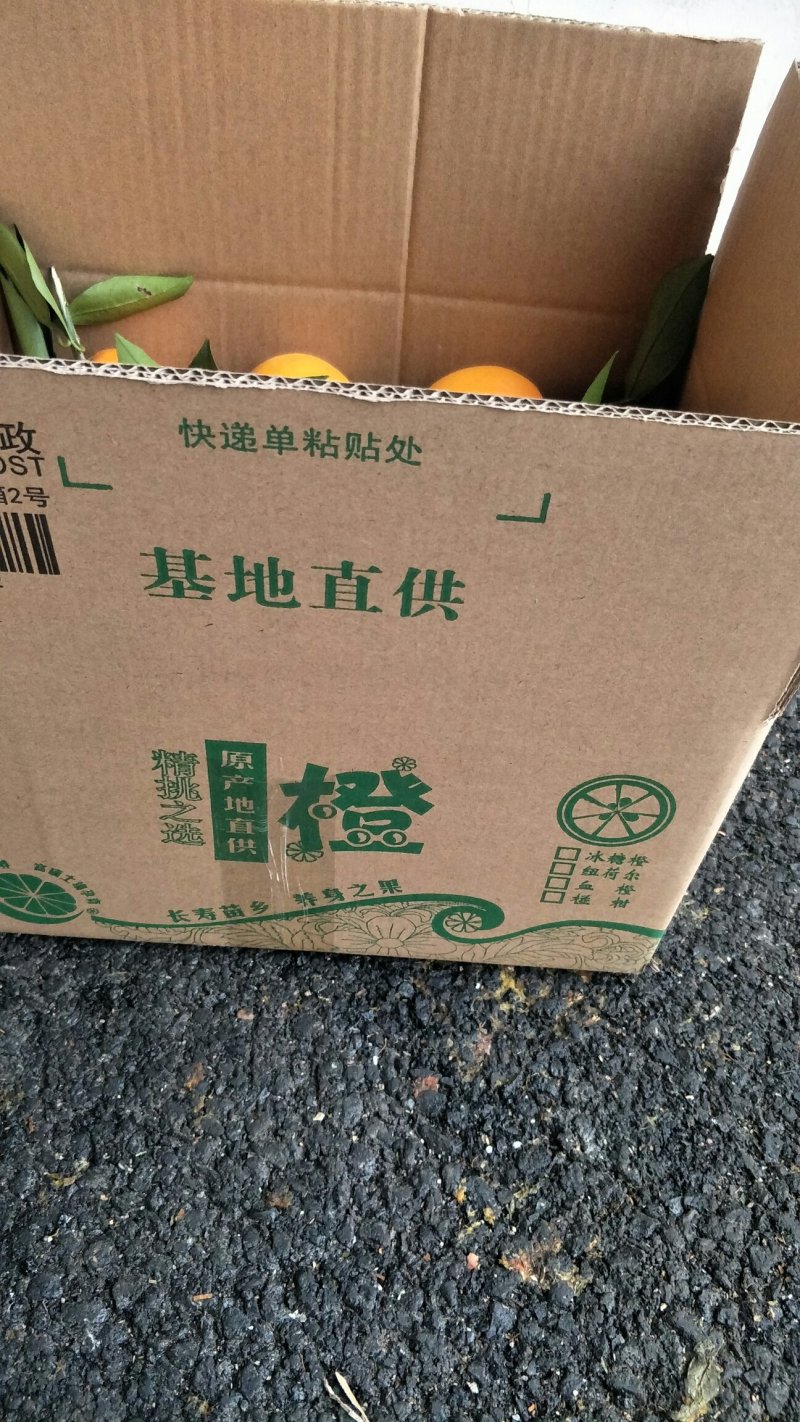 麻阳冰糖橙、自家果园基地直接供货