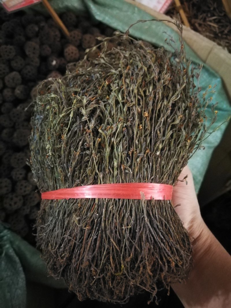 独脚金独脚甘一斤包邮可煲汤蒸肉