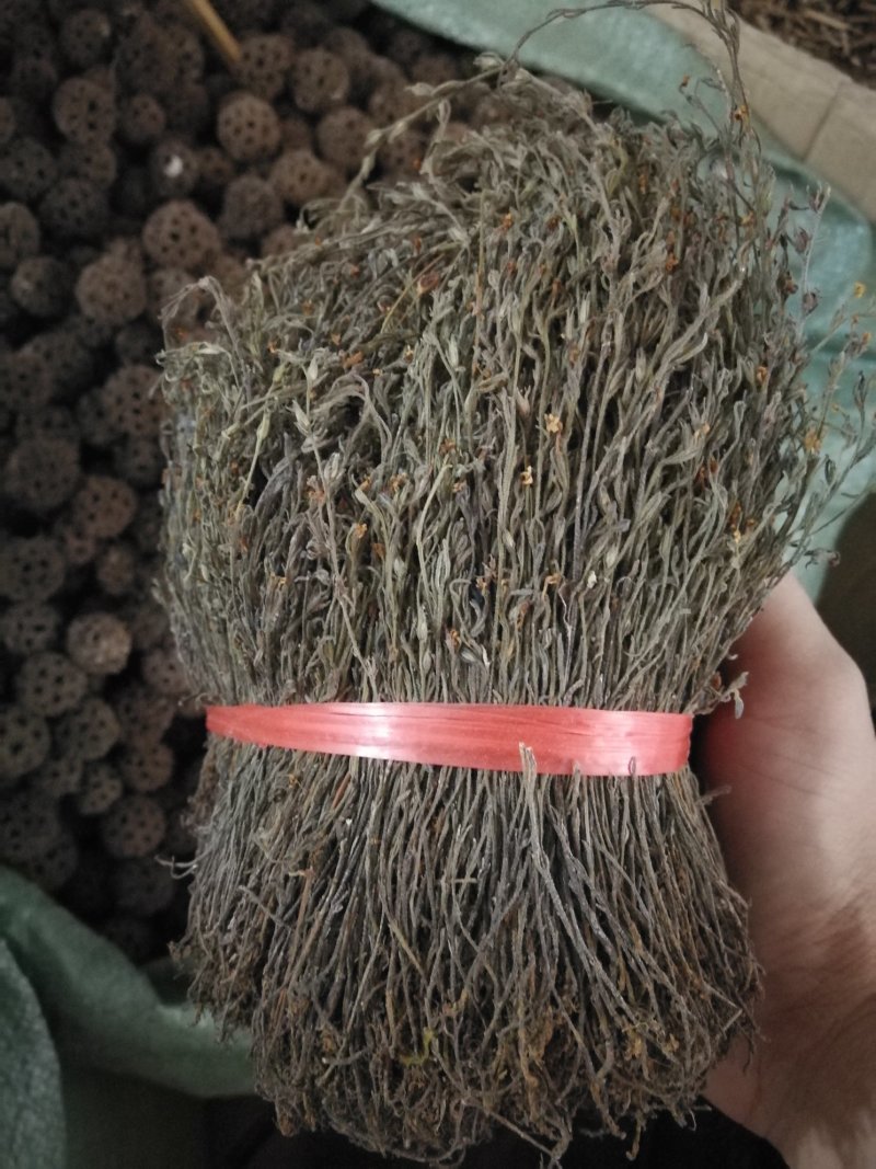 独脚金独脚甘一斤包邮可煲汤蒸肉