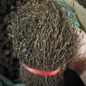 独脚金独脚甘一斤包邮可煲汤蒸肉