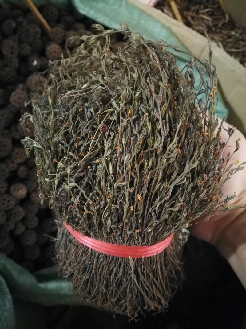 独脚金独脚甘一斤包邮可煲汤蒸肉