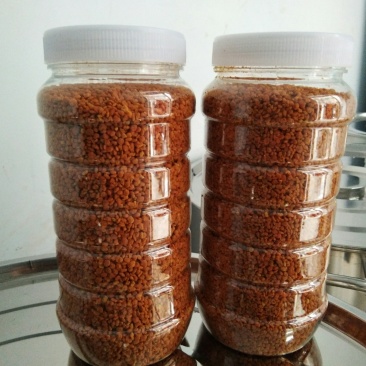 【蜂花粉】蜂场直销原生态无添加茶叶花油菜花蜂花粉