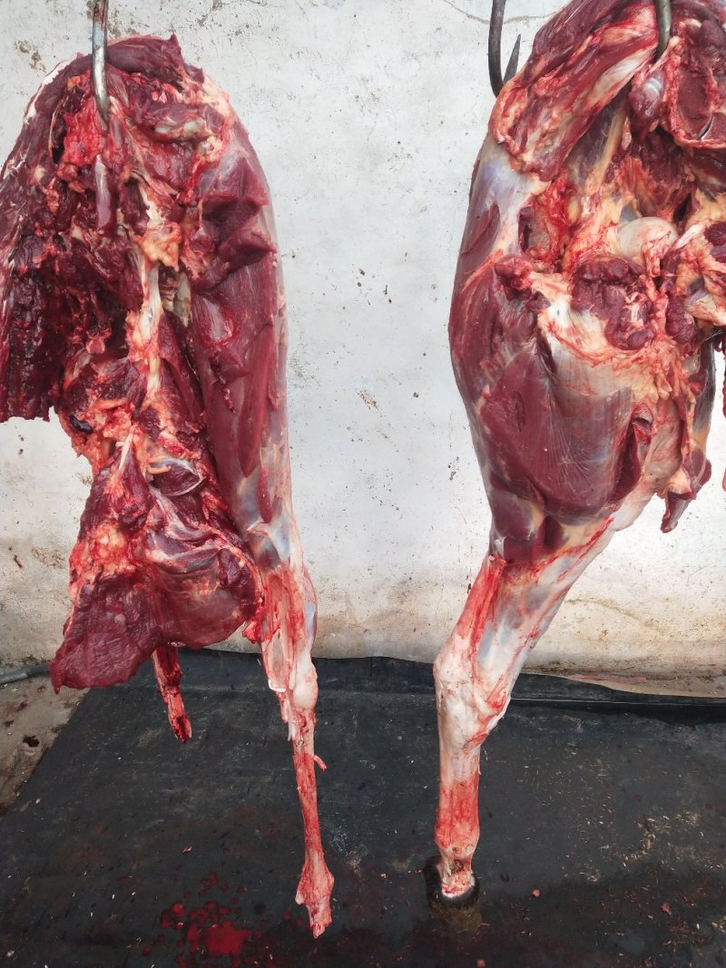驴肉