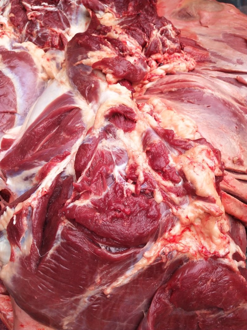 驴肉