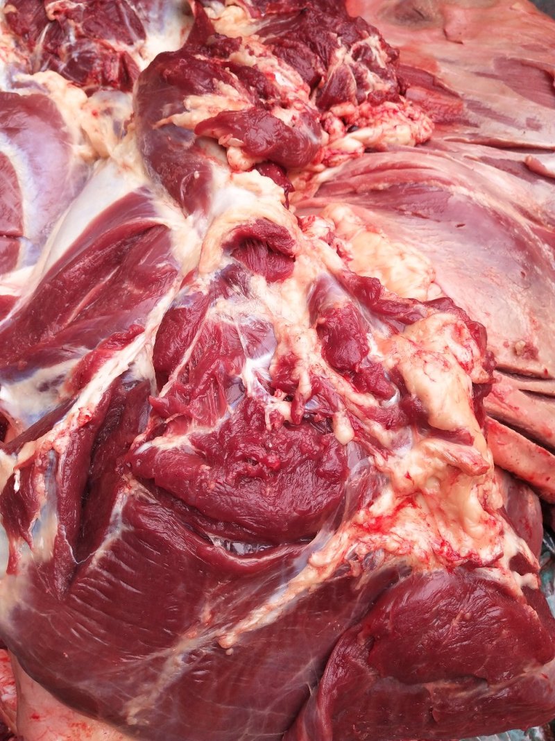 驴肉