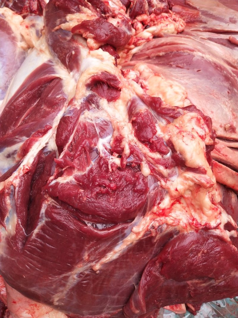 驴肉