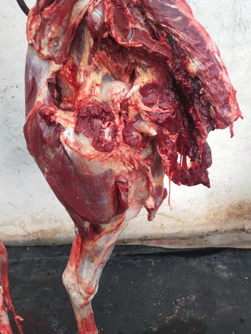 驴肉