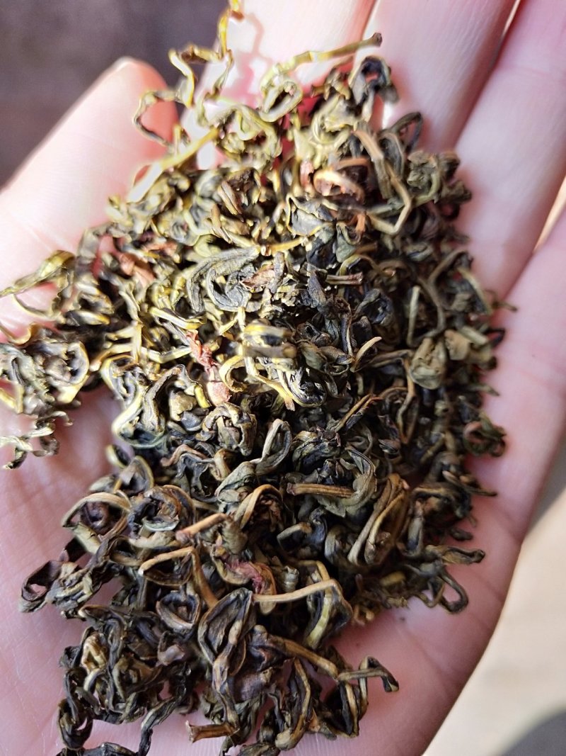 中药材赶黄草茶扯根菜