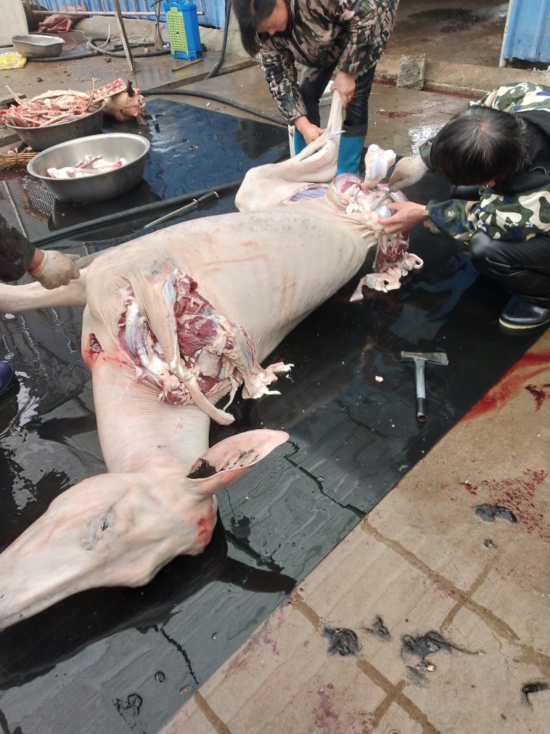 带皮驴肉