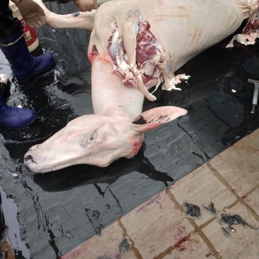 带皮驴肉