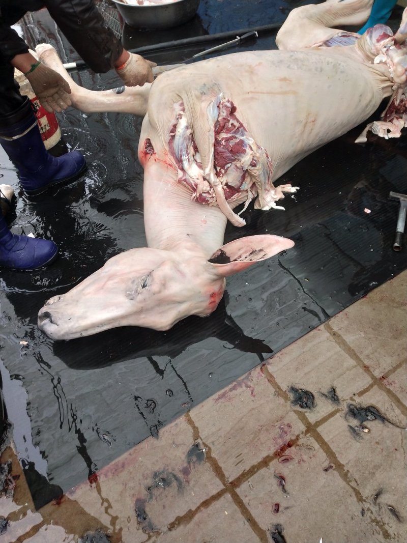 带皮驴肉
