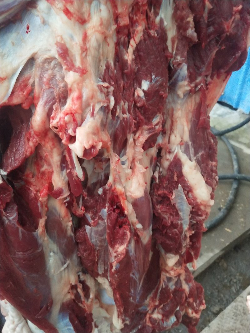带皮驴肉