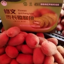 修文猕猴桃。7不够。