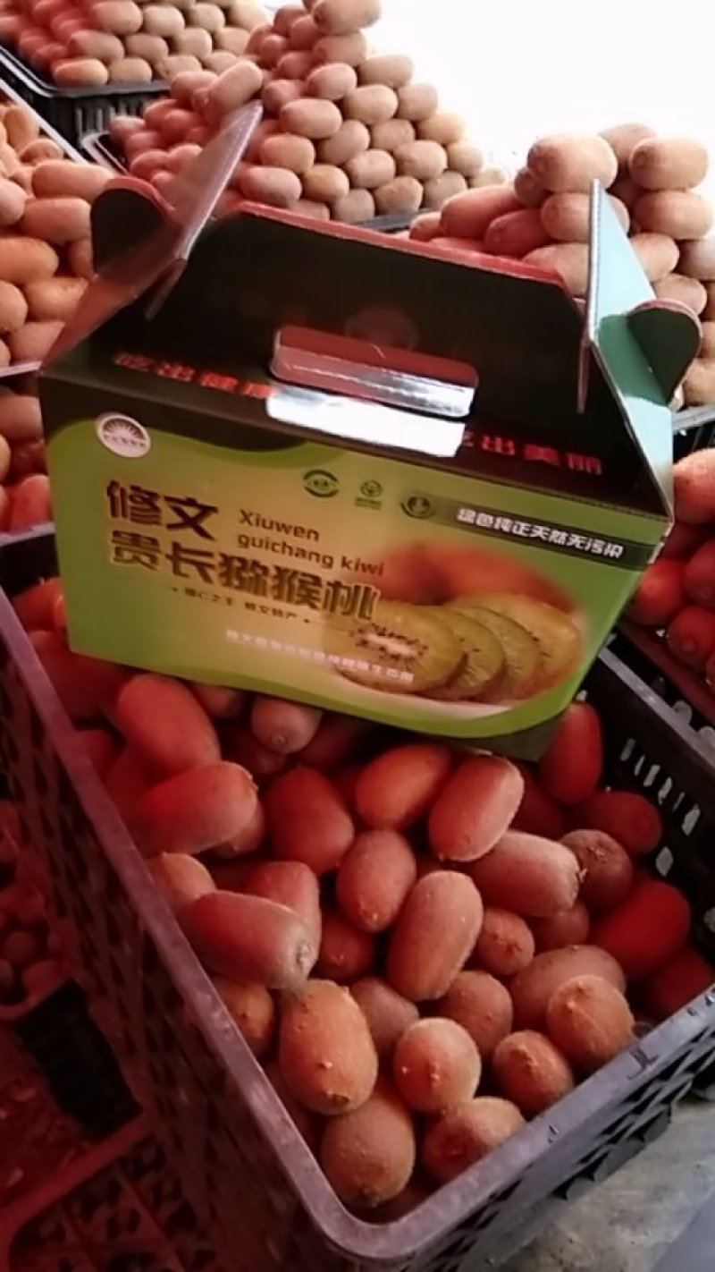 修文猕猴桃。7不够。