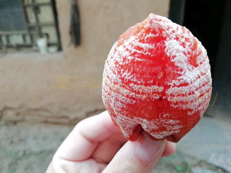 正宗富平涧头村老味柿饼