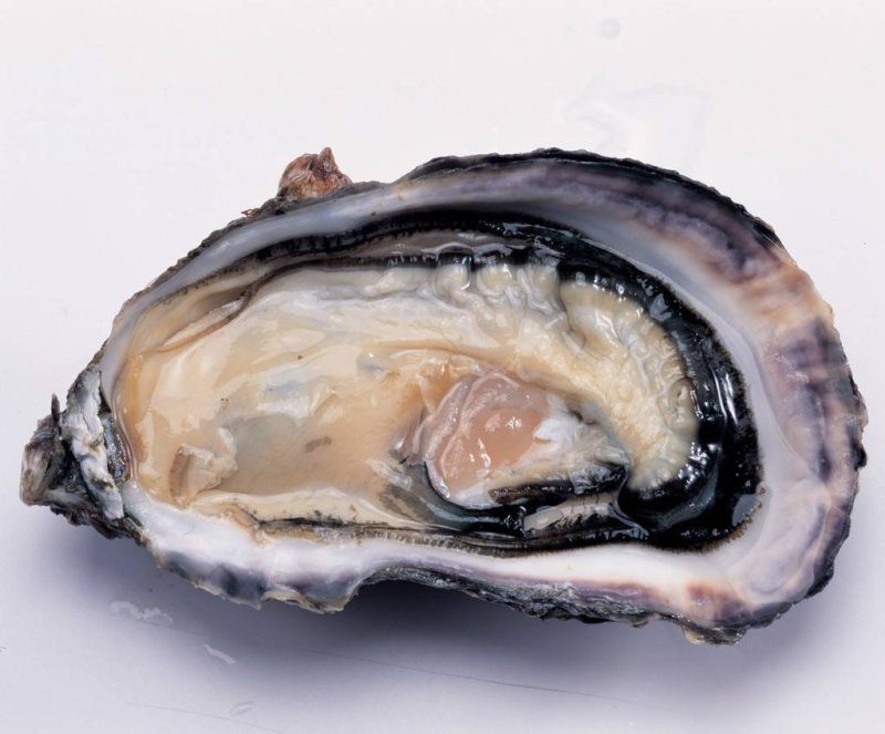 乳山生蚝鲜活带壳生蚝肉新鲜牡蛎即食海鲜水产海蛎子
