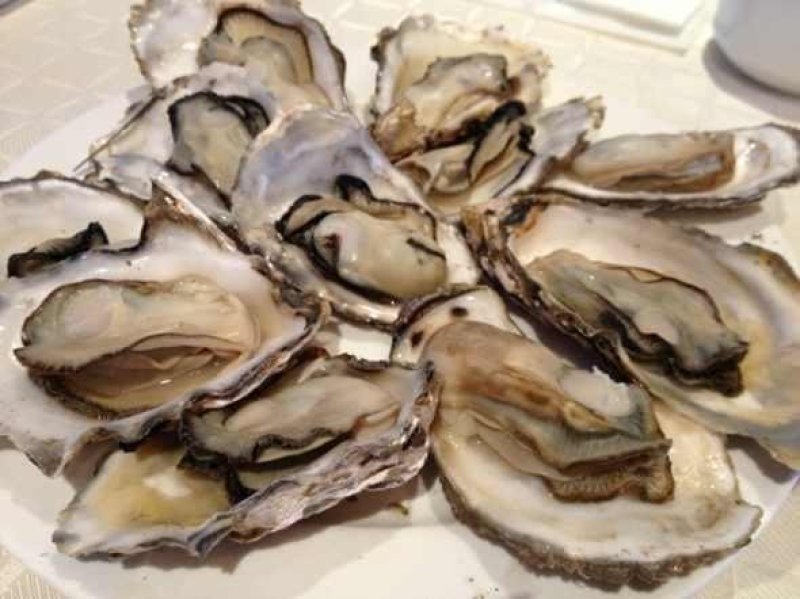 乳山生蚝鲜活带壳生蚝肉新鲜牡蛎即食海鲜水产海蛎子