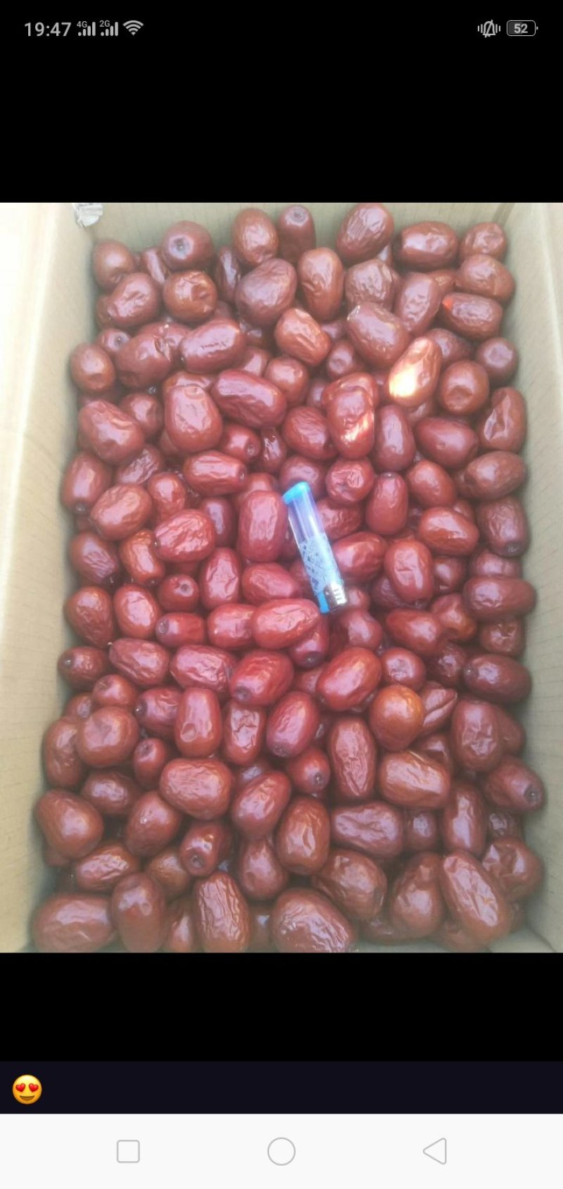 新疆骏枣