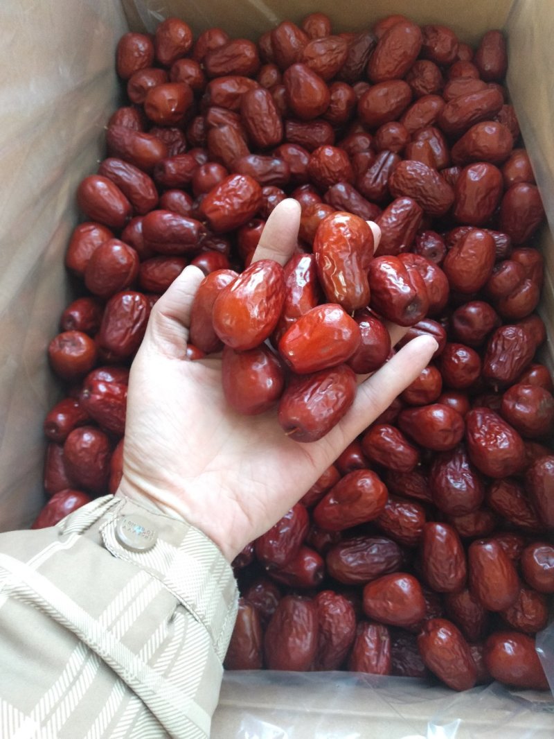 新疆红枣