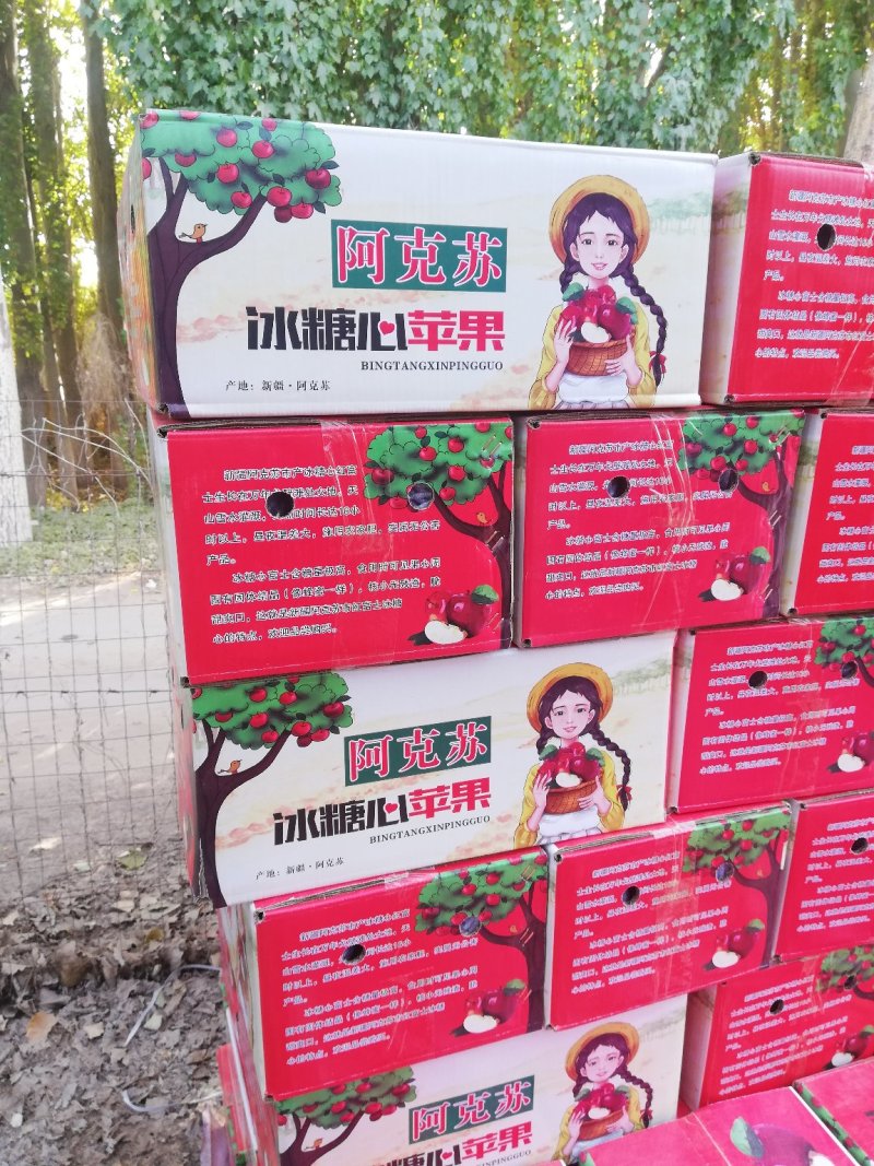新疆阿克苏冰糖心苹果/阿克苏苹果/红富士苹果