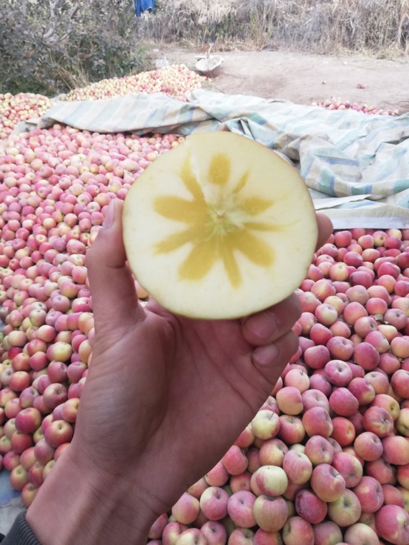 新疆阿克苏冰糖心苹果/阿克苏苹果/红富士苹果