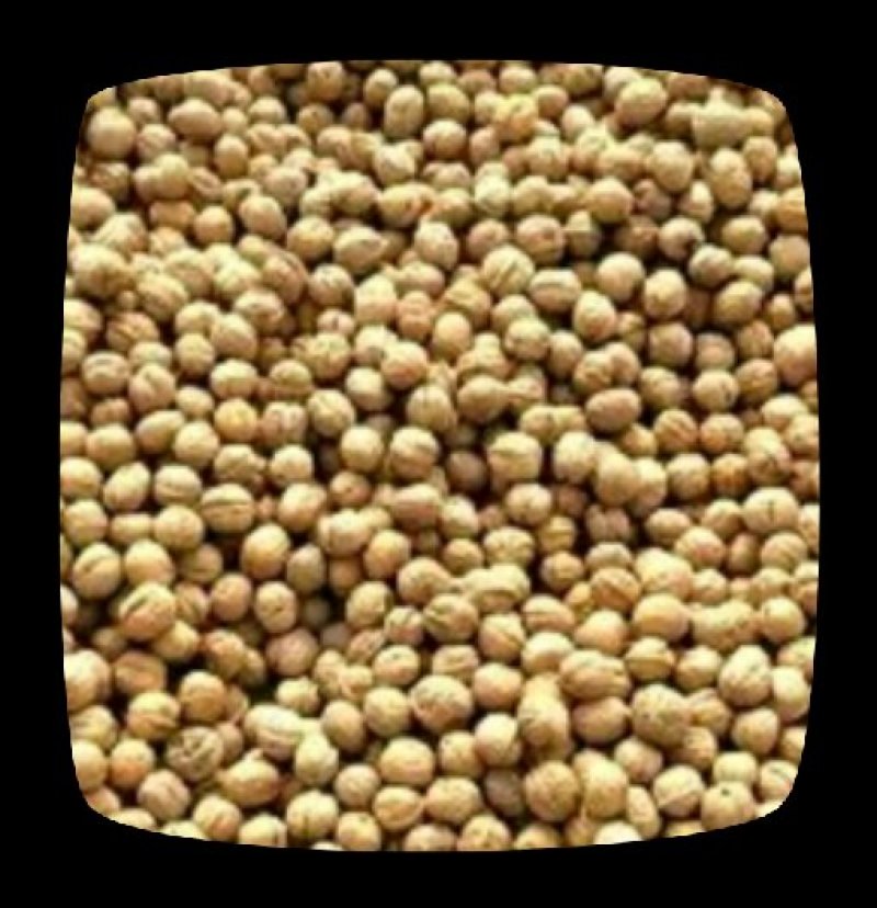 新疆薄皮核桃9.8元/斤10斤起