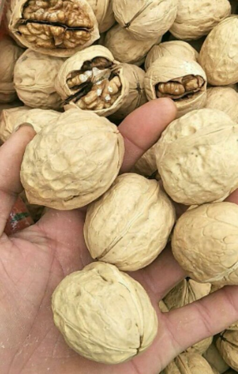 新疆薄皮核桃9.8元/斤10斤起