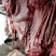 生鲜驴肉批发
