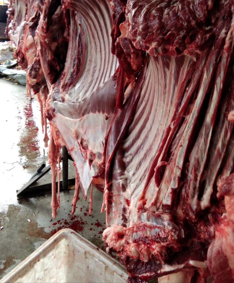 生鲜驴肉批发
