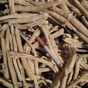 白鲜皮精品选货大中条