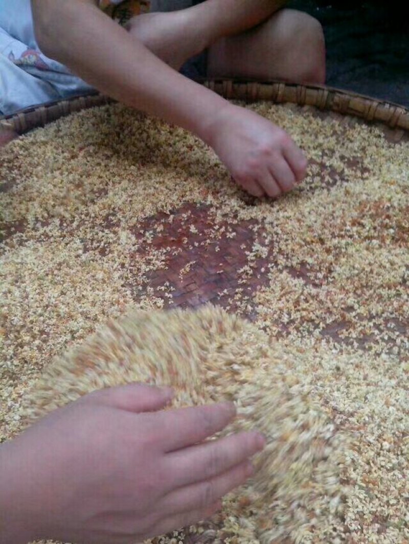 两河桃片