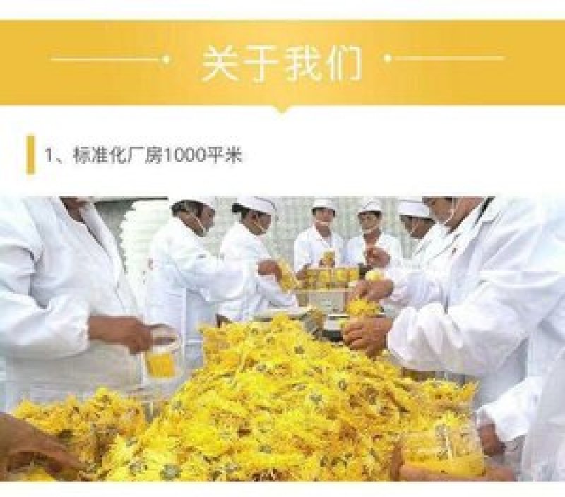 包邮金丝皇菊花茶买1送1（2罐共40g）
