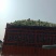 【推荐】优质的服务，中国花菜基地，雪白菜花松花菜等