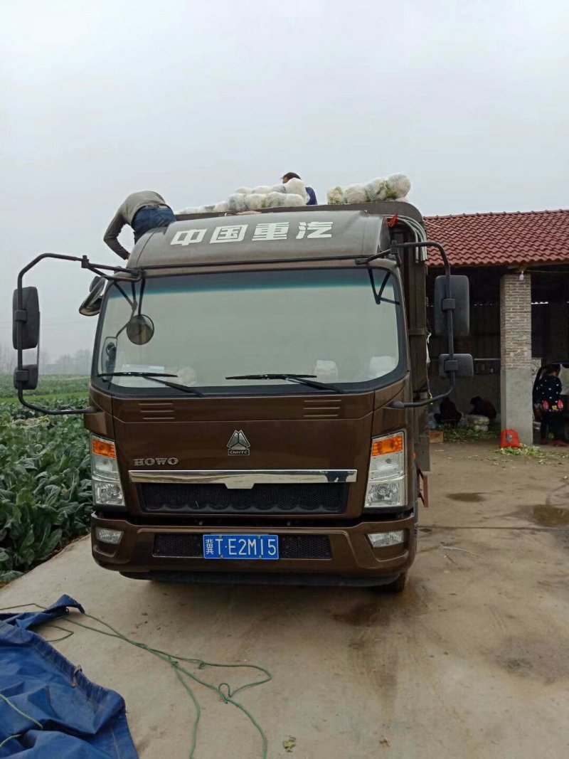 【推荐】优质的服务，中国花菜基地，雪白菜花松花菜等