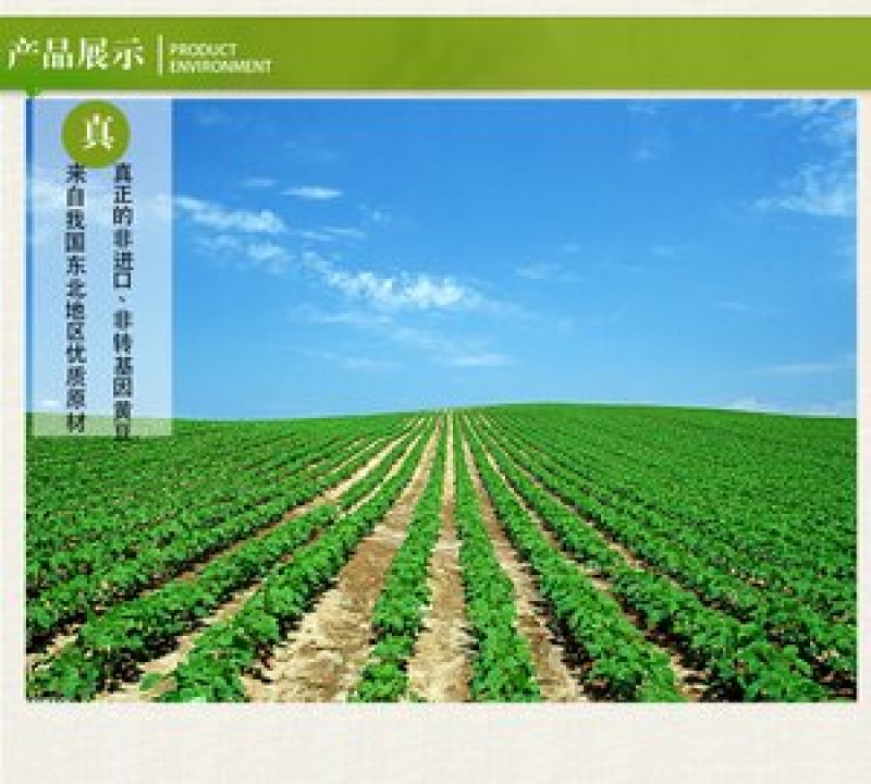 包邮非转基因纯大豆腐竹300克