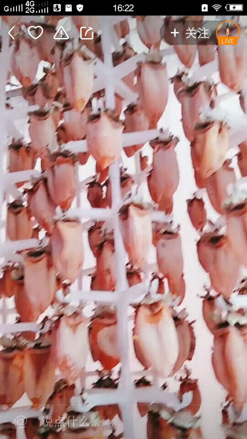 柿饼