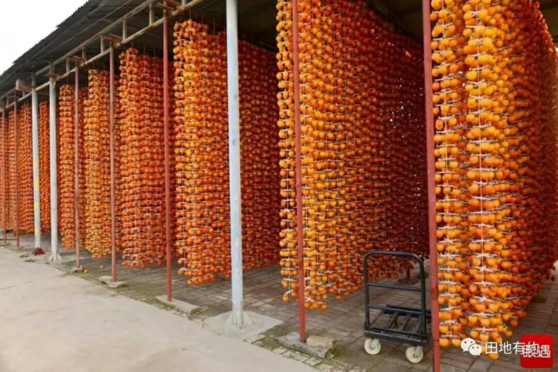 富平柿饼