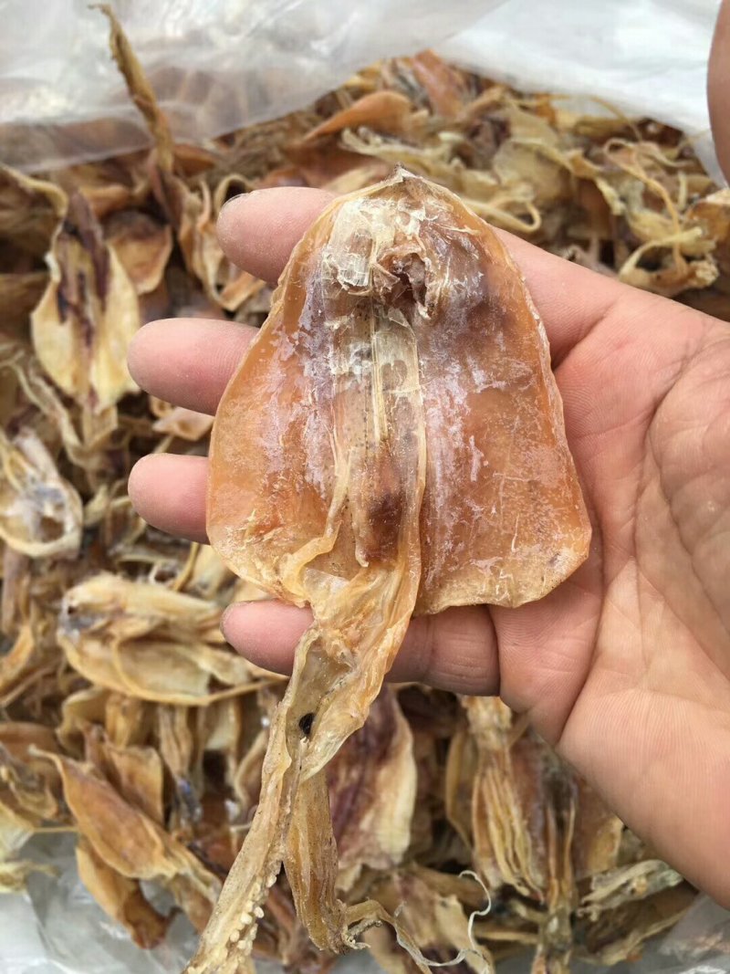 70头鱿鱼
