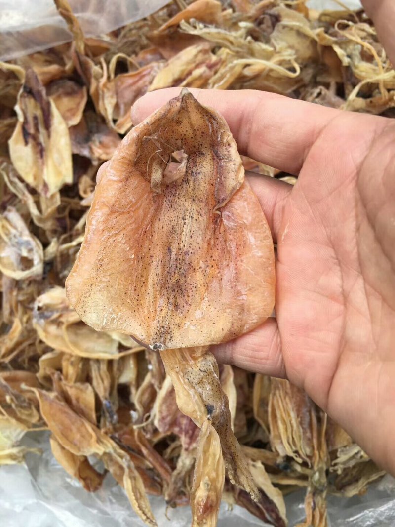 70头鱿鱼
