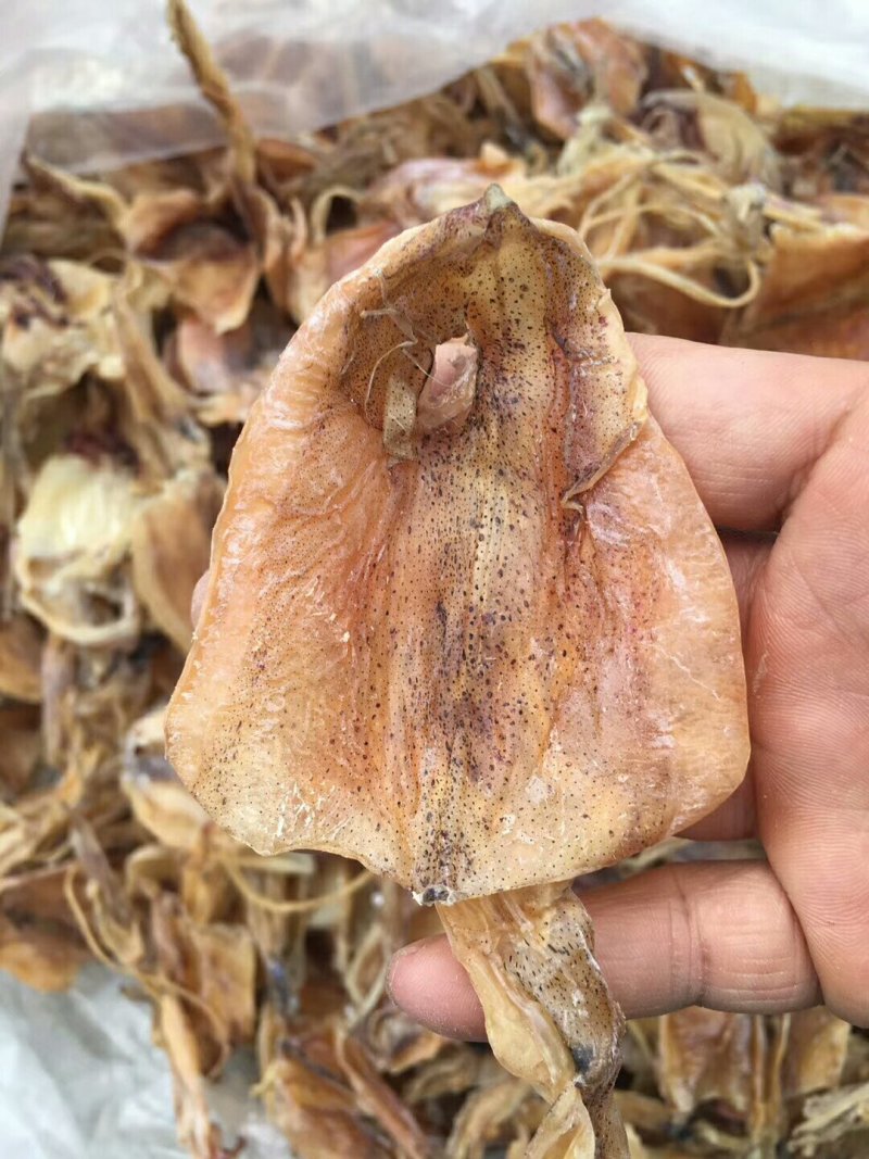 70头鱿鱼
