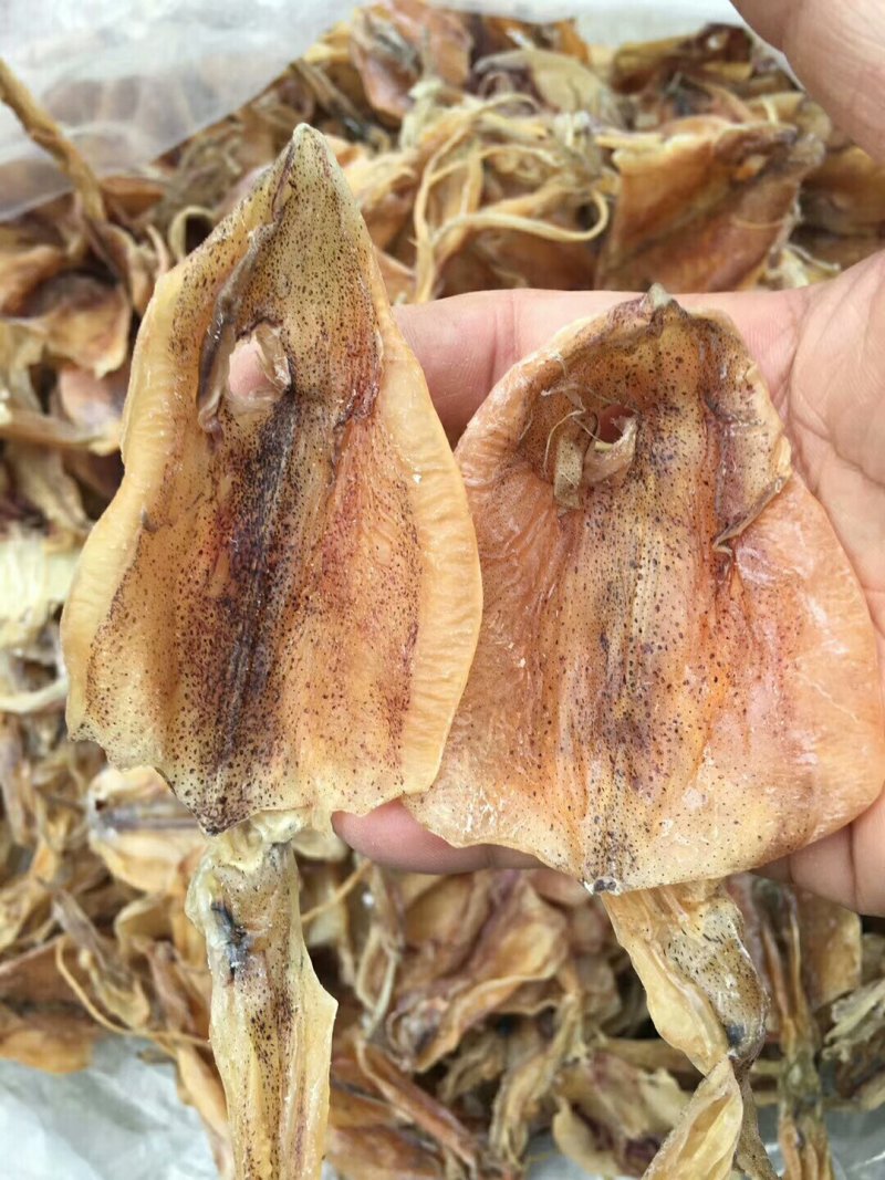 70头鱿鱼