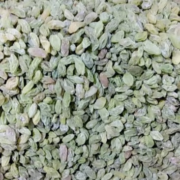 吐鲁番葡萄干