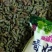 吐鲁番葡萄干