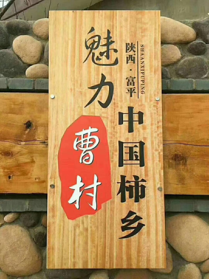 胖哥柿饼
