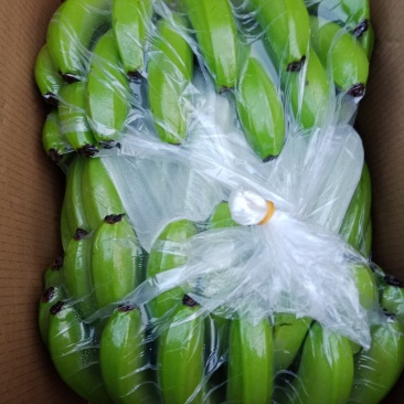 云南金平猛桥货多多