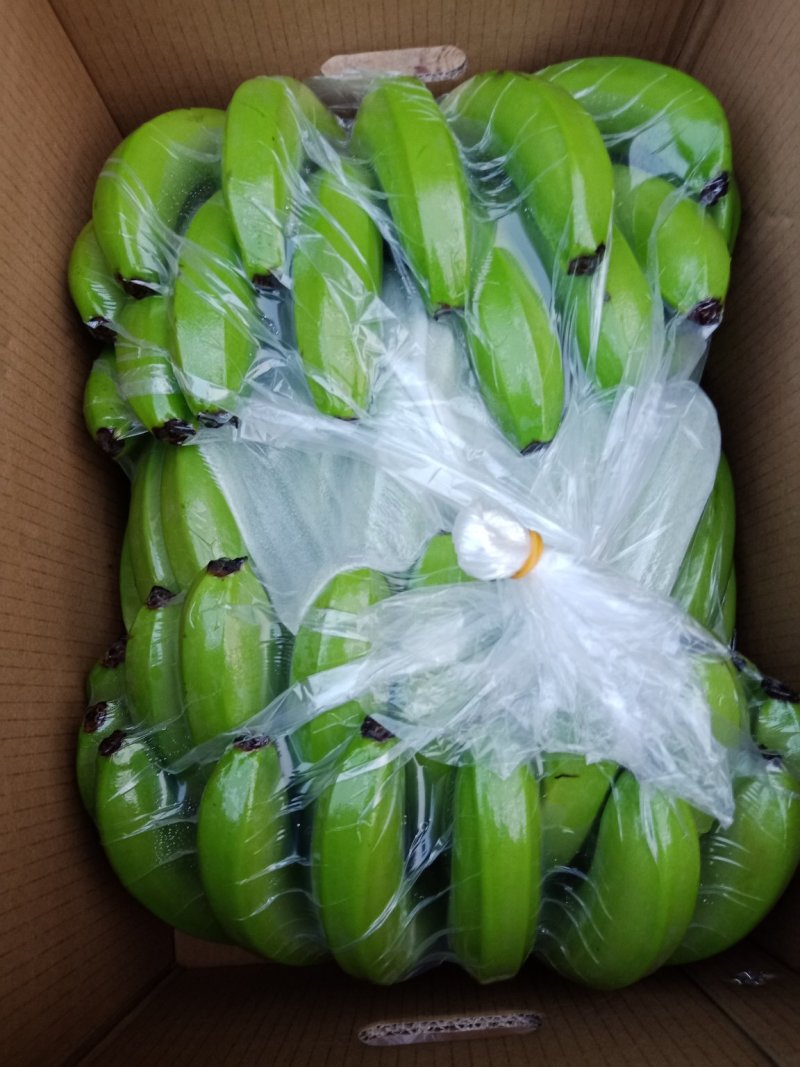 云南金平猛桥货多多