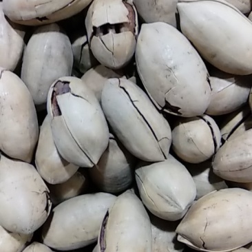 碧根果