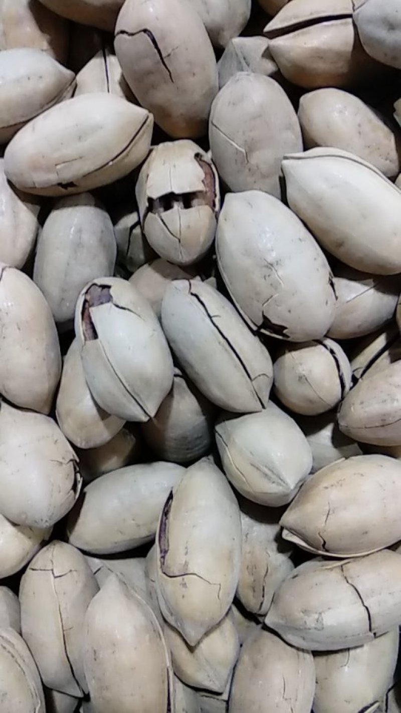 碧根果