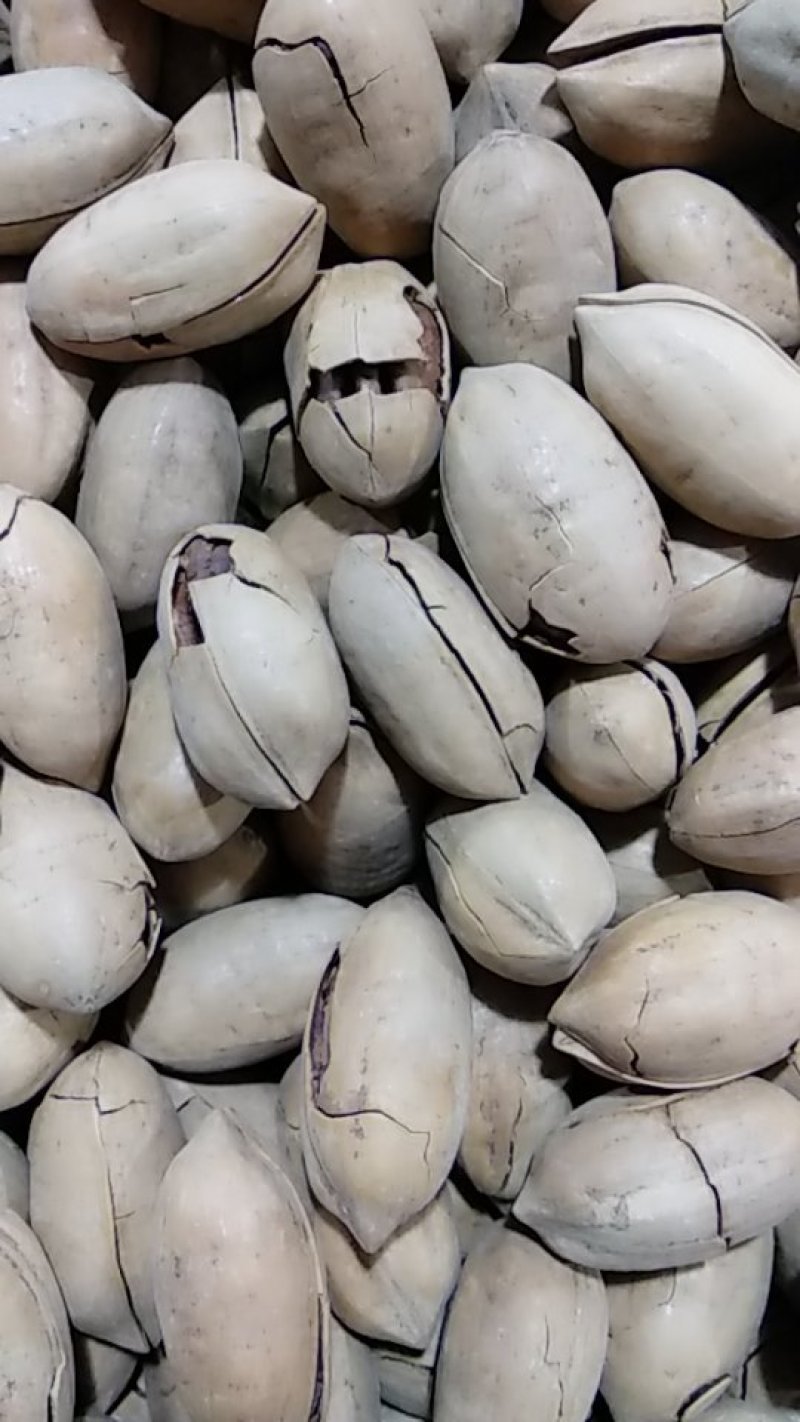 碧根果