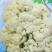 有机花2-4斤